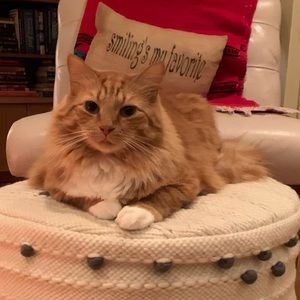 Meet your Posher, Kristina